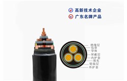 YJV22-6/10kV YJV22-6/10kV